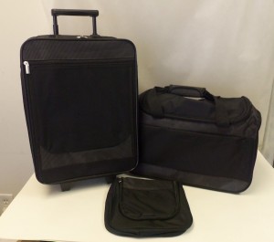luggage-300x265.jpg