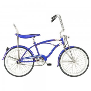bluebike-300x300.jpg